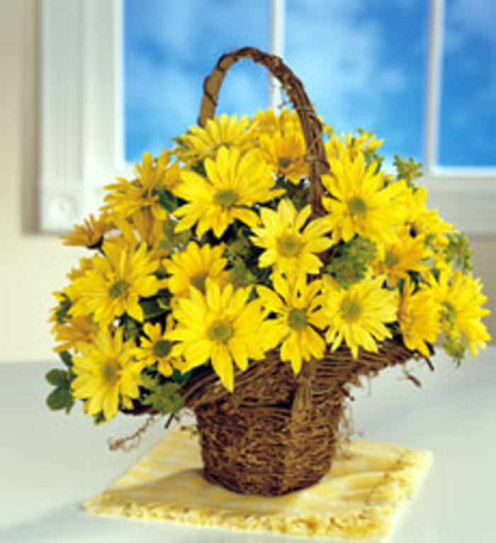 Summer Daisy Basket