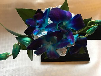 Blue Dendrobium Orchid Corsage