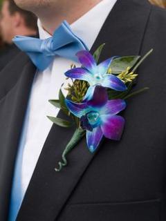 Blue Dendrobium Orchid Boutonierre