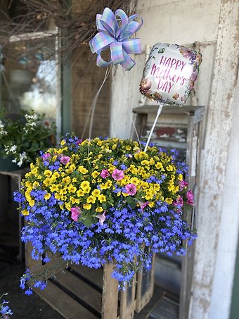 Abundant Color Hanging Basket