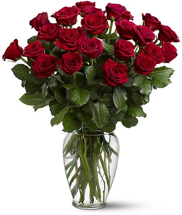Two Dozen Red Roses TF