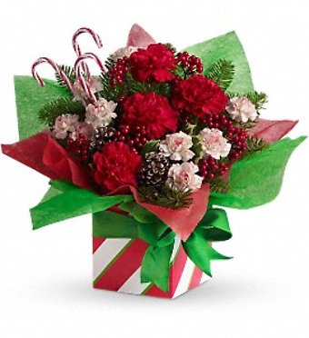 Teleflora\'s Christmas Present