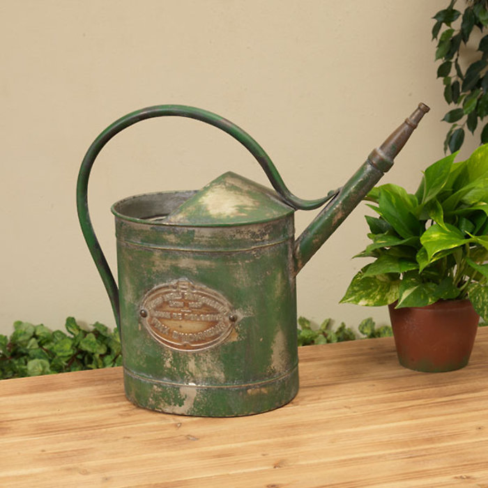 Decorative Metal Watering Can