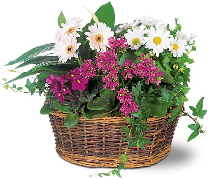 Traditional European Garden Basket