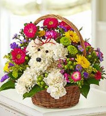 A-Dog-able In Basket