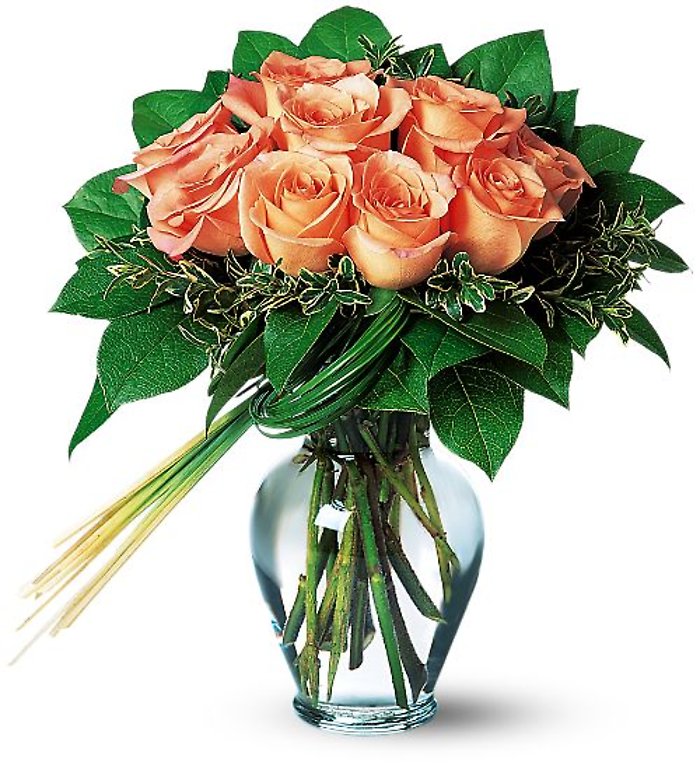 Perfectly Peachy Roses TF