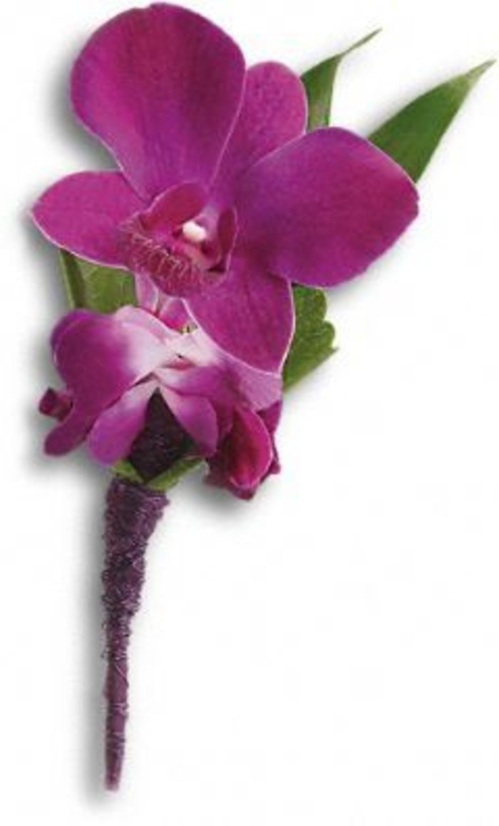 Perfect Purple Orchid Boutonniere