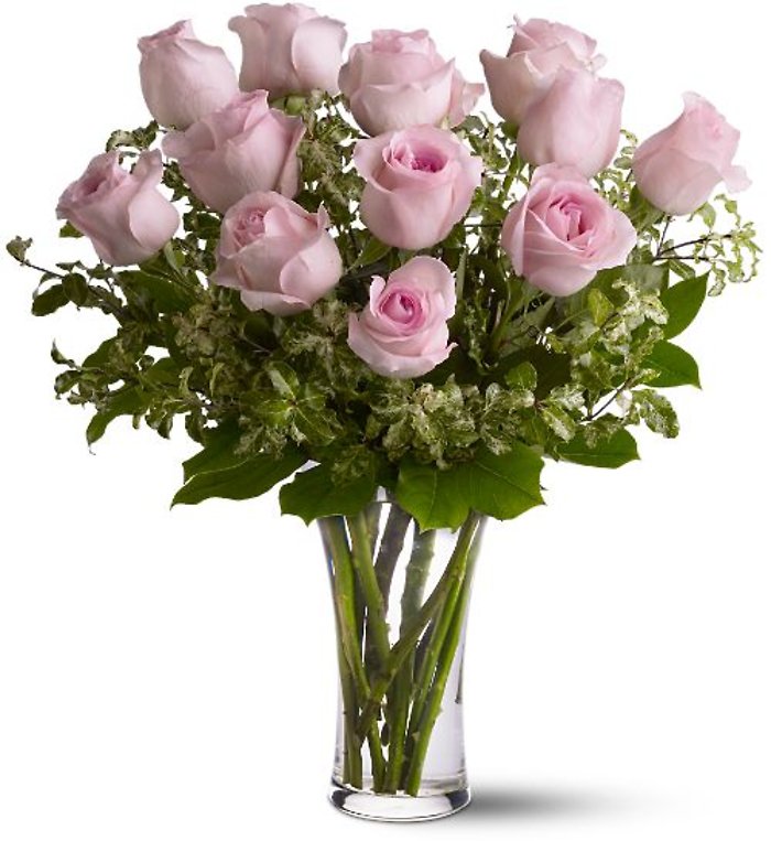 Dozen Pink Roses