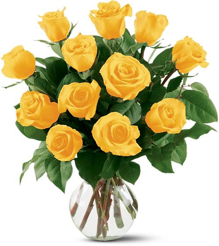 Dozen Yellow Roses