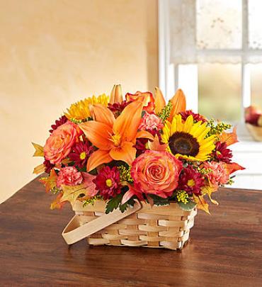 Fields of Europe for Fall 2017 Basket