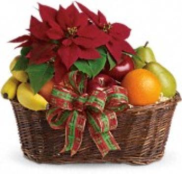 Fruit & Poinsettia Gift