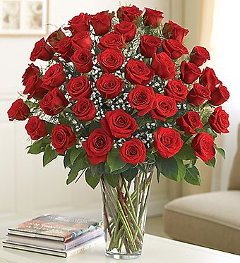 Four Dozen Roses Arranged