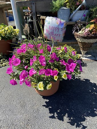 Blooming Planter