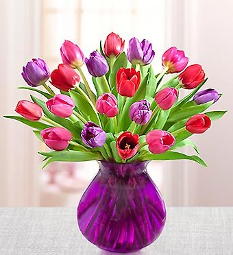 Tulips for Your Valentine