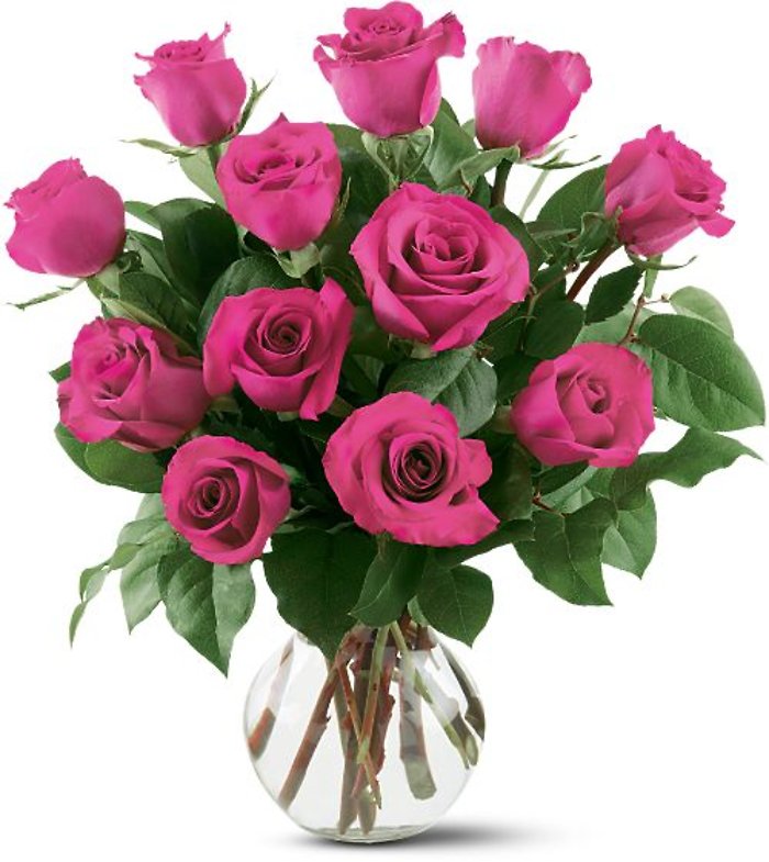 Dozen Hot Pink Roses