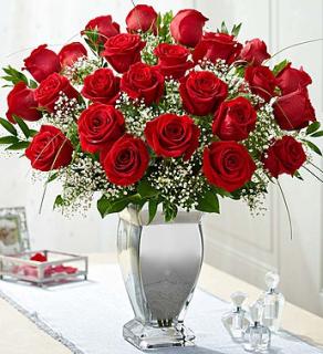 Premium Long Stem Roses in Silver Plated Vase