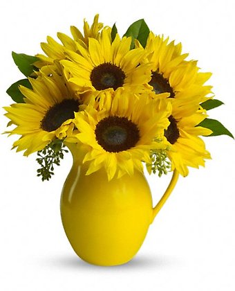 Teleflora\'s Sunny Day Pitcher of Sunflowers
