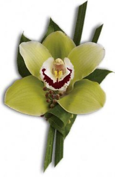 Green Orchid Boutonniere
