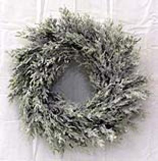6in (16in spread) Illinois Flocked Pine Mini Wreath